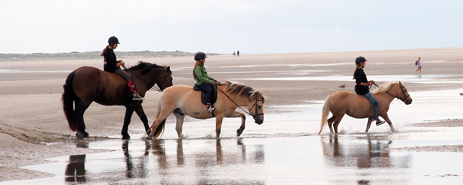 Baltrum und Du ... CDU