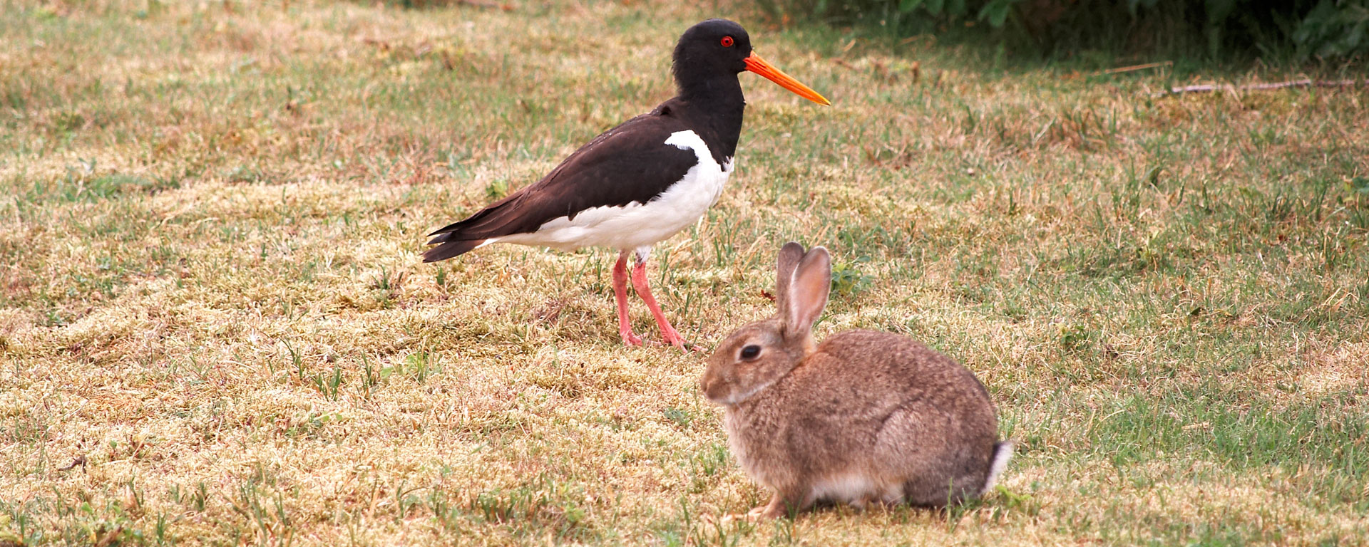 Baltrum und Du ... CDU