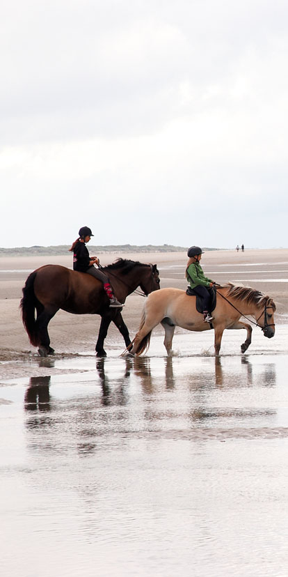 Baltrum und Du ... CDU